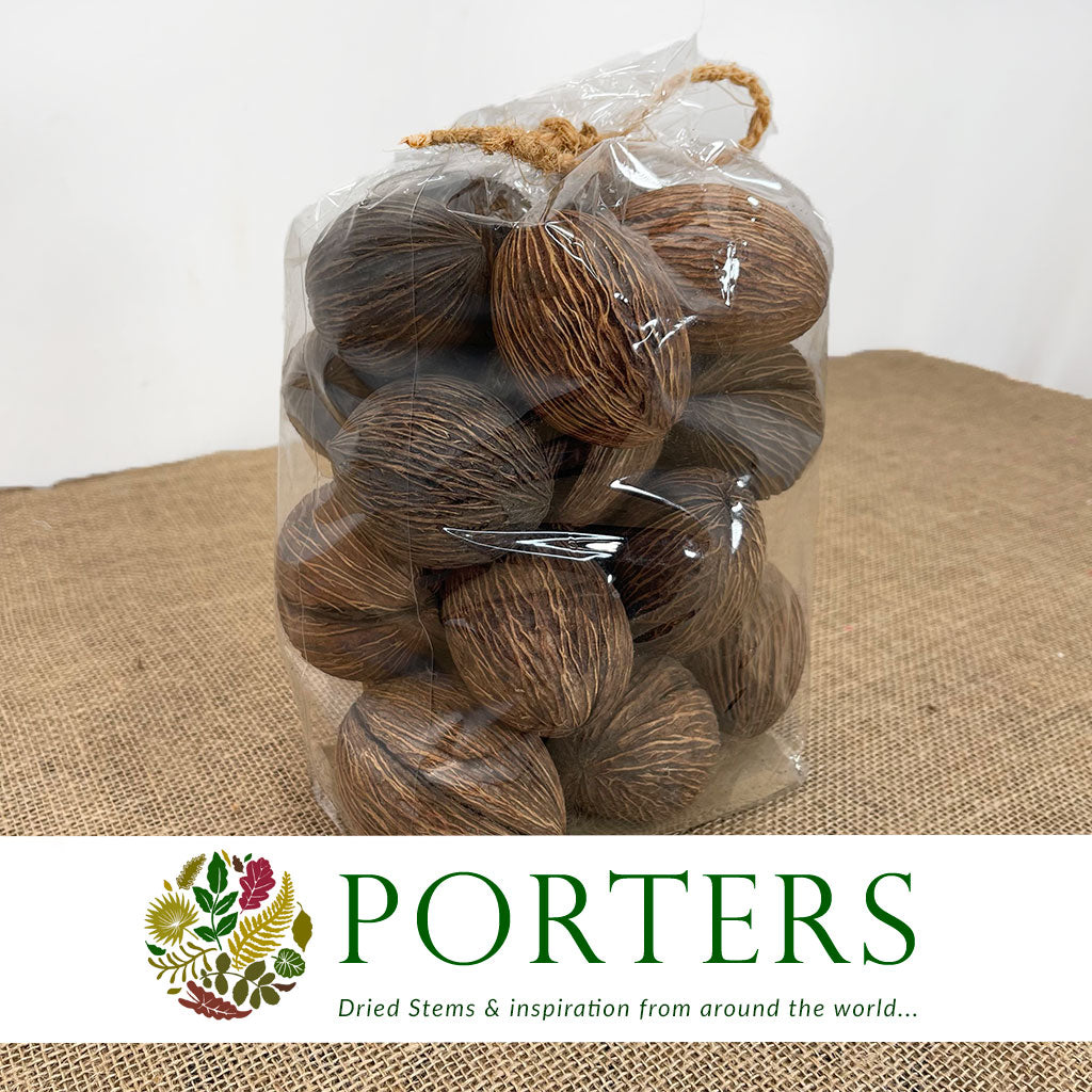 Pods &#39;Mintola&#39; (Natural) (DRY) (Small) (x20)