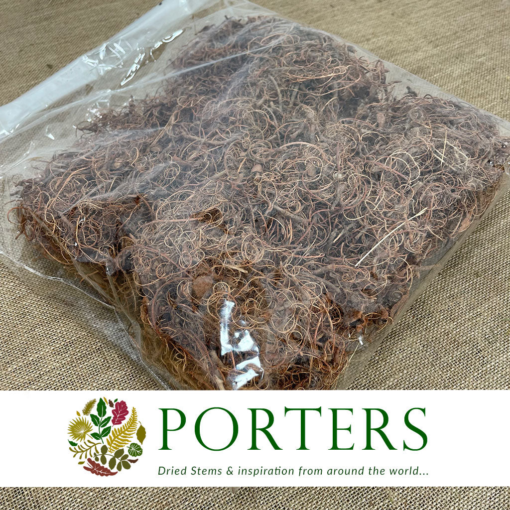 Moss &#39;Curly Moss&#39; (Natural) (DRY) (500g)