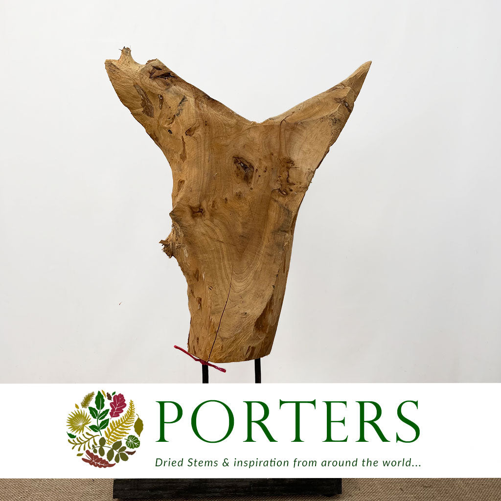 Olive Wood &#39;Sculpture&#39; (DRY) H70