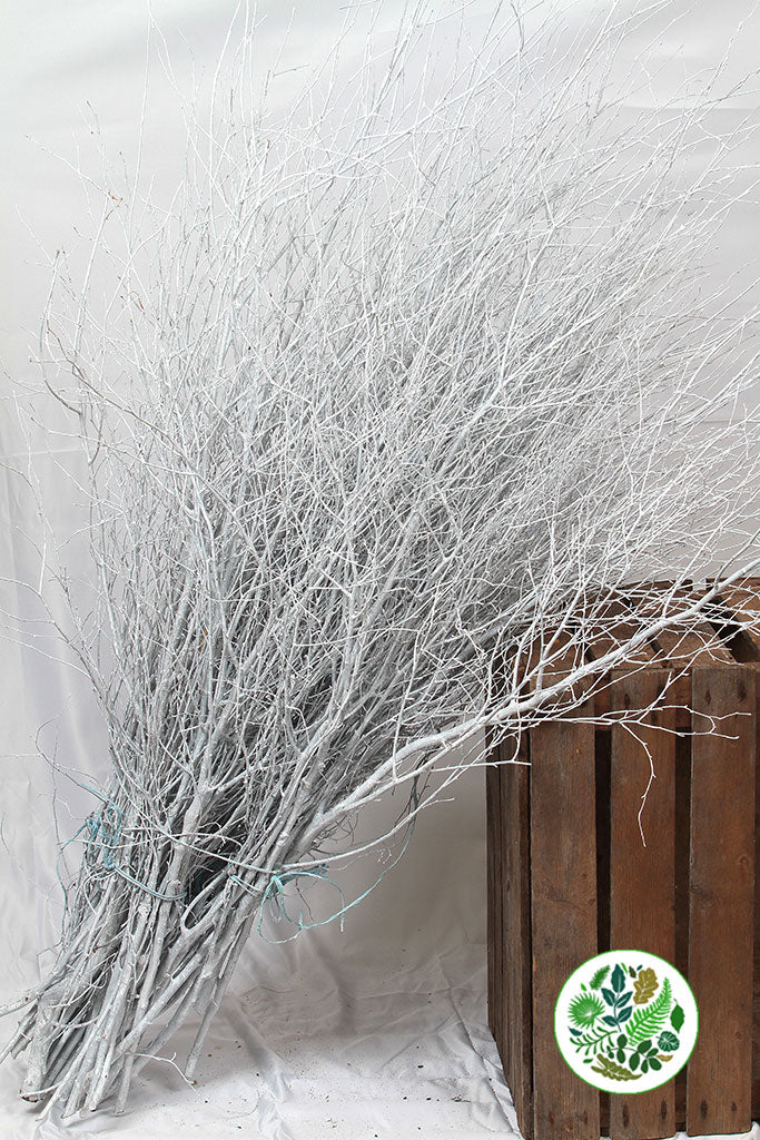 TWIG &#39;WHITE-Gloss White&#39; (Painted)