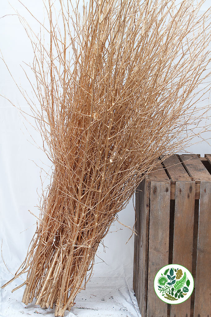TWIG &#39;GOLD&#39; (Painted)