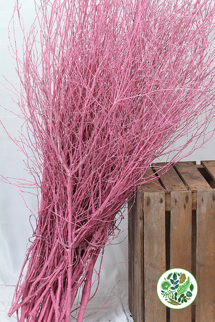 TWIG &#39;PINK-Light Pink&#39; (with Glitter) (Painted)