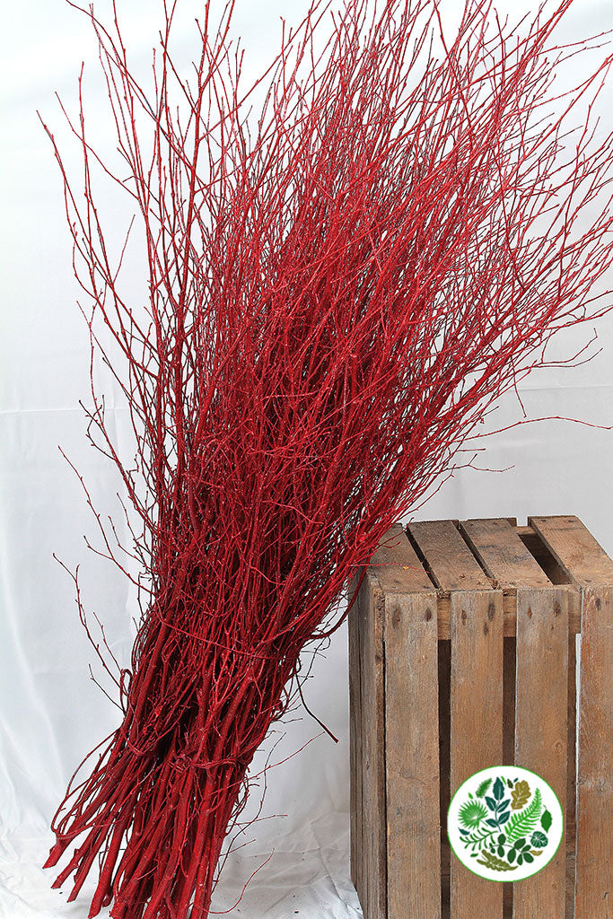 TWIG &#39;RED-Xmas Red&#39; (with Glitter) (Painted)