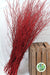 TWIG 'RED-Xmas Red' (with Glitter) (Painted)