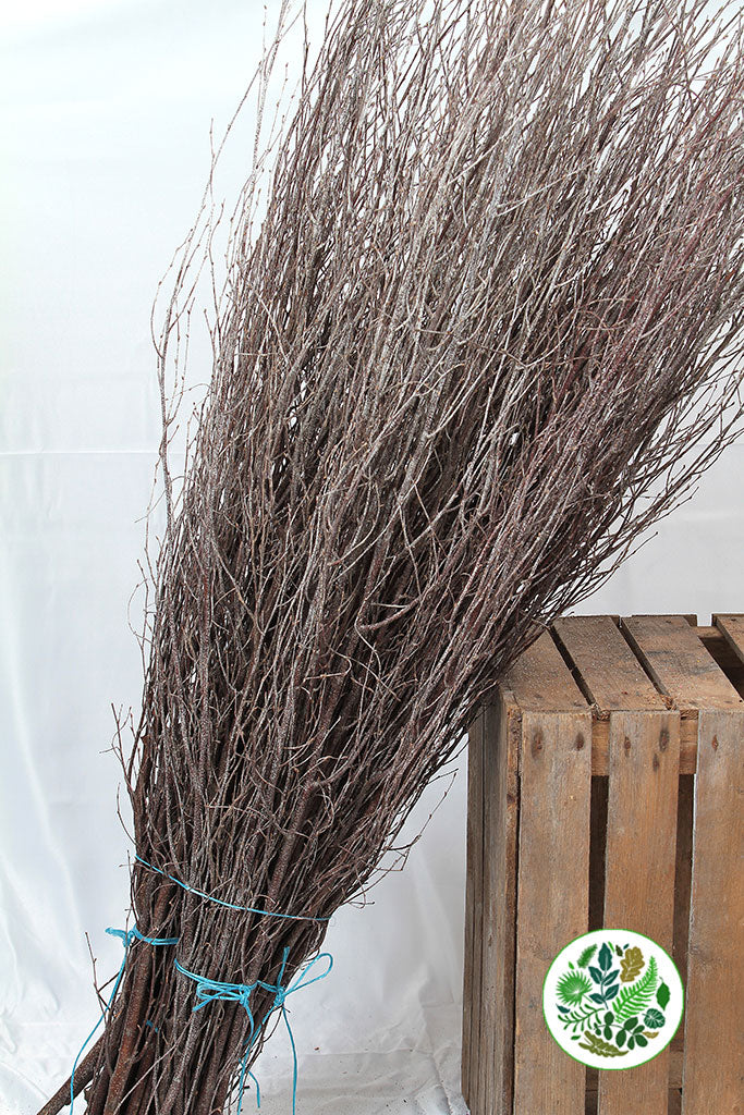 TWIG &#39;Natural&#39; (DRY) (Silver Birch) 4ft (Bunch)