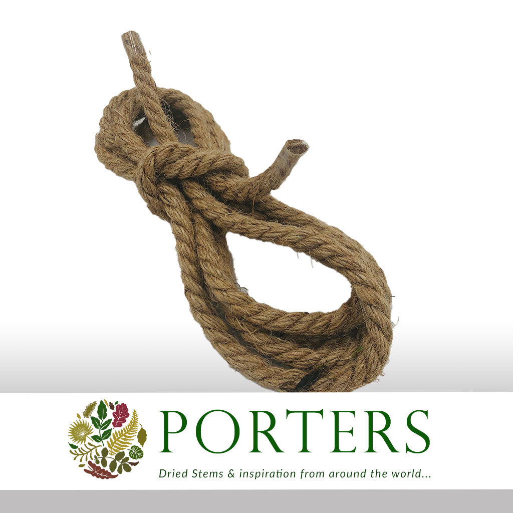 Rope 'Thick' (Small Bunch) (DRY) - Porters Foliage Ltd