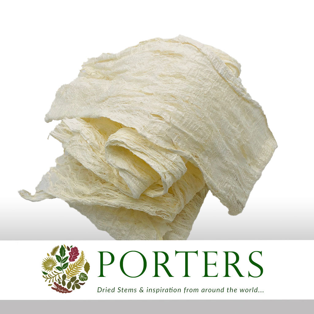 Bark &#39;Mulberry&#39; (Bleached) (DRY) (250g)
