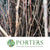 TREE 'Natural Unpainted' with (Silver Glitter) (Various Heights) (Painted)