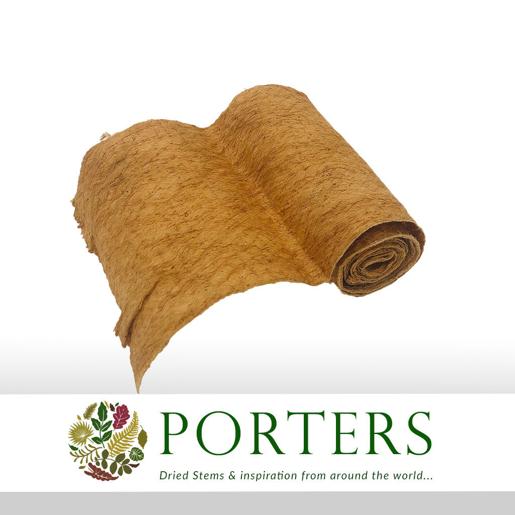 Ribbon Band DRY (200cm x 12.5cm)