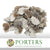 Mushrooms 'Sponge' (White Wash) (DRY)