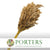 Grass 'Reed Grass' (Wild Plume) (DRY) (Natural) (x15)